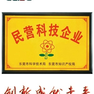 東莞市民營科技企業(yè)